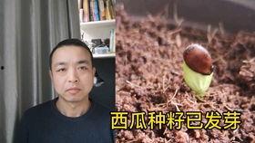 看小情侣吵架吃瓜,小情侣吵架现场，吃瓜群众围观热议