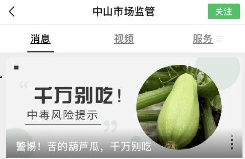 吃葫芦瓜觉得苦,葫芦瓜的苦涩滋味与独特魅力