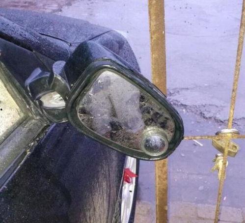 后视镜吃瓜的车,揭秘行车路上的趣味瞬间