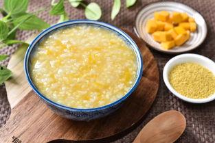 布丁和糖豆吃瓜,甜蜜时光尽享夏日