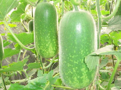 s12吃瓜,娱乐圈背后的那些事儿