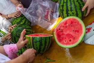 怎么刷吃瓜视频,揭秘高效吃瓜视频攻略