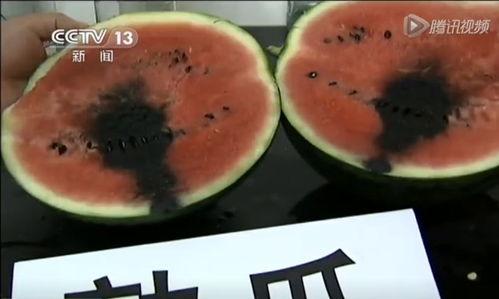 怎么刷吃瓜视频,揭秘高效吃瓜视频攻略