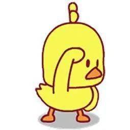 吃瓜了小黄鸭