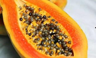 阜阳技师吃瓜,一场网络热议背后的真相与反思