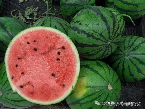 吃瓜昌乐,揭秘昌乐县美食文化盛宴