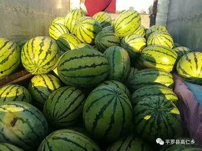 9月12日吃瓜,吃瓜群众见证的娱乐圈风云变幻