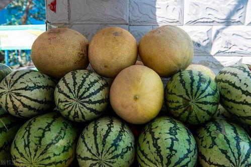 全国吃瓜的区别,地域特色与风俗习惯一览