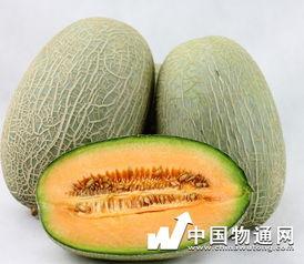 吃哈密瓜可以吃牛肉么,美味搭配的饮食探索