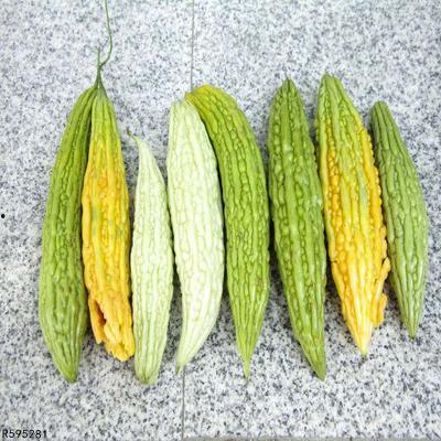 病瓜可以吃吗,揭秘病瓜的安全性