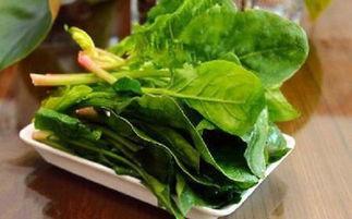 吃瓜跟菠菜,揭秘日常饮食中的健康密码
