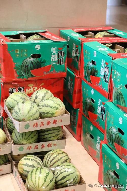 郴州北湖吃瓜事件,一场网络热议背后的真相探寻