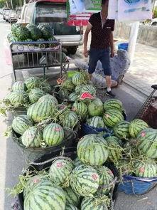 郴州北湖吃瓜事件,一场网络热议背后的真相探寻