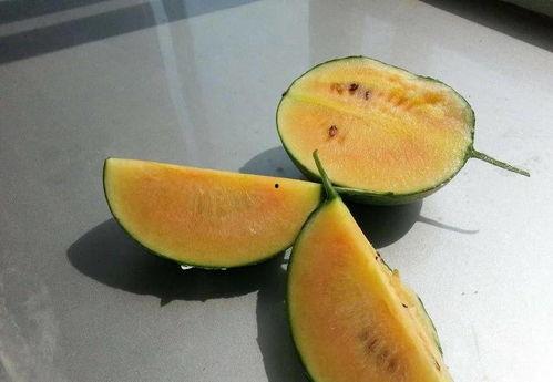 彩虹吃瓜后续,揭秘娱乐圈背后的秘密与真相