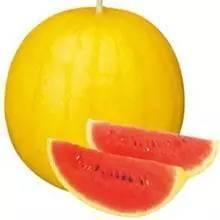 彩虹吃瓜后续,揭秘娱乐圈背后的秘密与真相