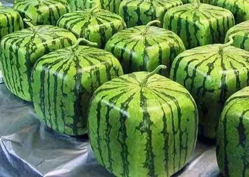 吃瓜传瓜会怎么样,揭秘网络舆论的传播与影响