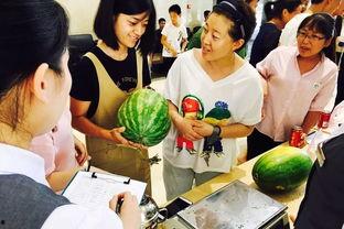 大可吃瓜,揭秘娱乐圈幕后故事