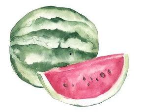 吃瓜者啥意思,网络时代的围观文化现象