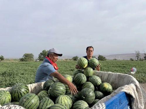 柳州三江吃瓜,柳州三江美食之旅