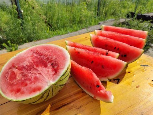 瓜熟了可以吃吗,美味尽享——揭秘成熟瓜果的食用之道