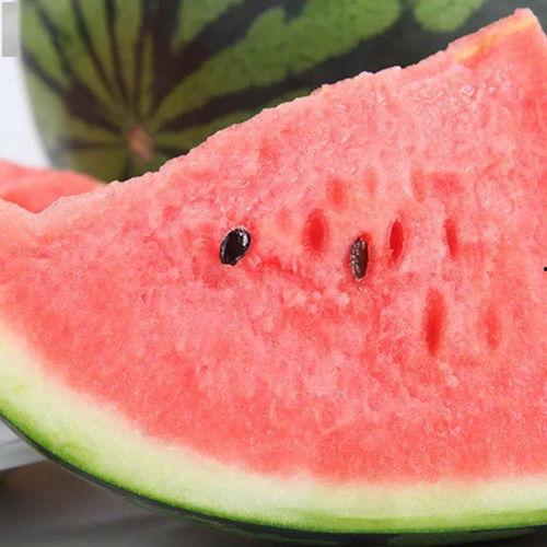 全季泗水吃瓜,一场别开生面的吃瓜盛宴