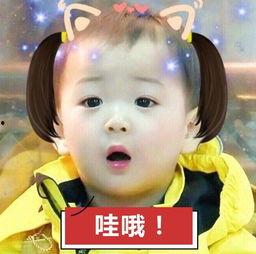 宋民国吃瓜群众,吃瓜群众的视角解读娱乐圈风云