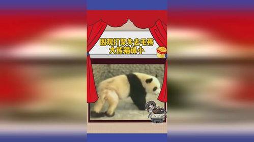 吃瓜的缘分,探寻你我之间的神秘缘分