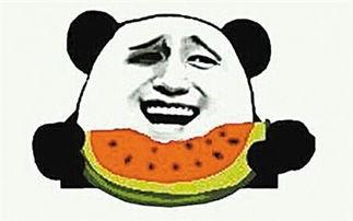 吃瓜的缘分,探寻你我之间的神秘缘分