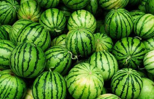 吃瓜健康,揭秘日常饮食中的养生智慧