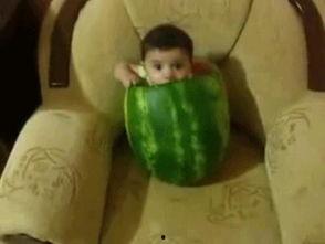 看吃瓜图片,揭秘吃瓜群众的欢乐瞬间