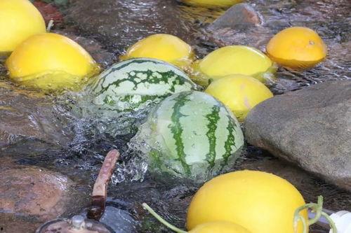 大城吃瓜视频,揭秘城市生活百态，一网打尽热点事件
