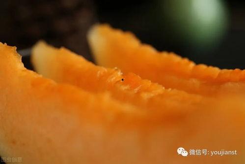 吃瓜群众认真吃瓜子视频,揭秘吃瓜群众的热闹瓜子时光