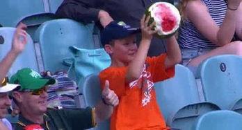 吃瓜少年小十七,吃瓜少年的成长日记