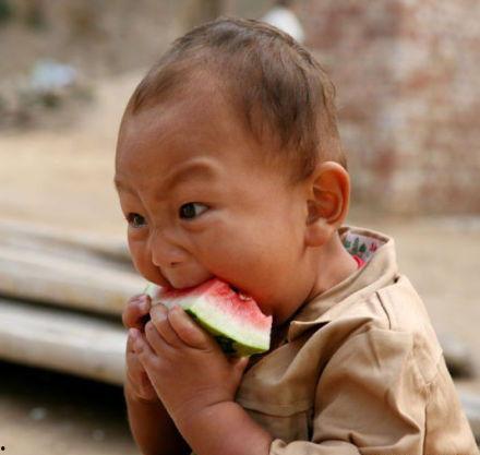 吃瓜少年小十七,吃瓜少年的成长日记