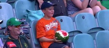 吃瓜少年小十七,吃瓜少年的成长日记