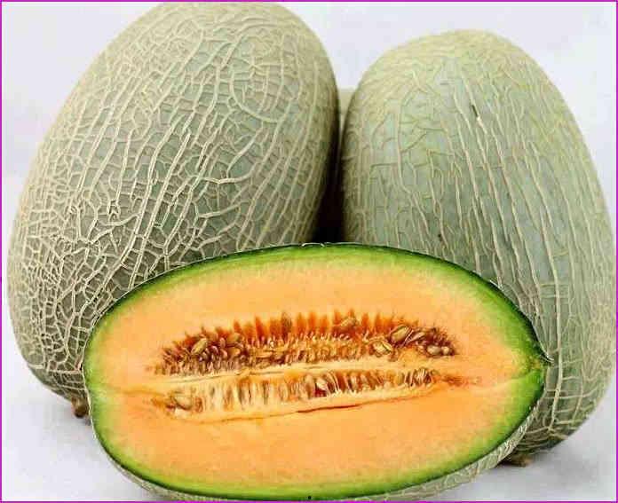 吃木瓜可以吃哈密瓜么,同食可否？营养与口感大揭秘