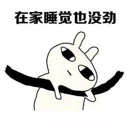 吃瓜熬夜表情包,表情包里的欢乐时光