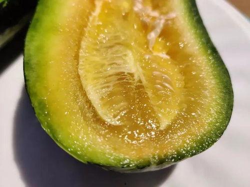 云沧吃瓜,揭秘网络热点的幕后故事