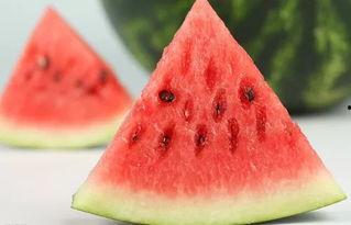 西瓜大叔吃瓜,一场与瓜的奇妙邂逅