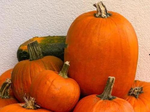 瓜真的不要随便吃,揭秘瓜类食物的挑选与食用常识