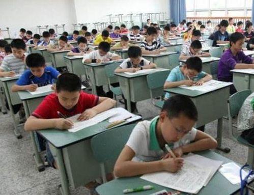 普宁高中吃瓜,揭秘校园里的热点话题