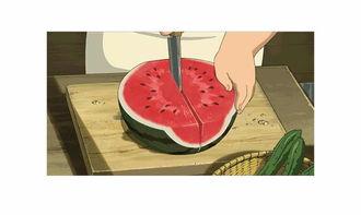 吃瓜十二时辰,瓜田里的秘密花园