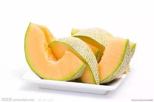 斑马吃哈密瓜,一场意外的美味邂逅