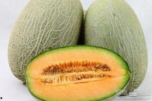 斑马吃哈密瓜,一场意外的美味邂逅