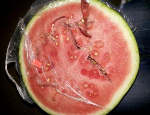 隔夜瓜能给猪吃吗,猪能否安全食用探讨