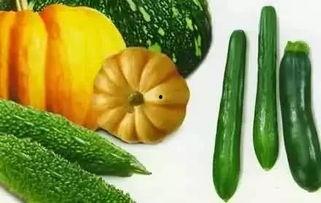 拿着显微镜吃瓜