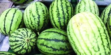 小学生快速吃瓜,小学生三分钟速吃瓜大挑战