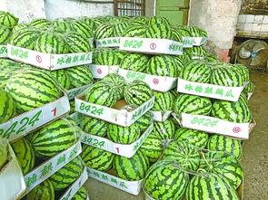 荆楚吃瓜,吃瓜群众的热闹盛宴