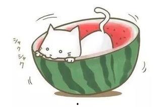 奶球吃瓜知乎,揭秘娱乐圈背后的那些事儿