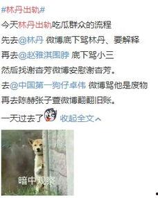 全网吃瓜爆料小说,揭秘吃瓜小说背后的真实故事